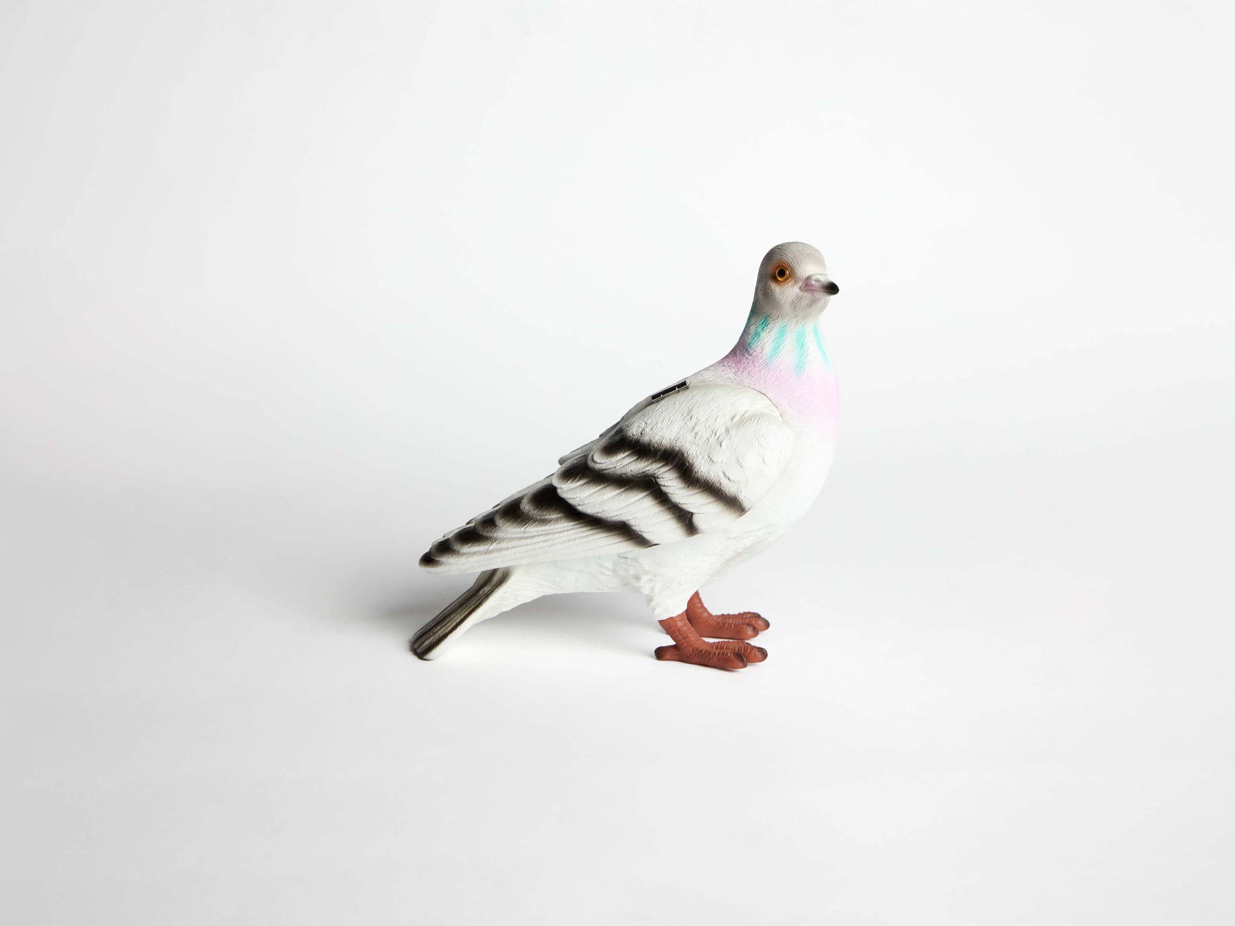 pigeon clutch grey Product Front 1