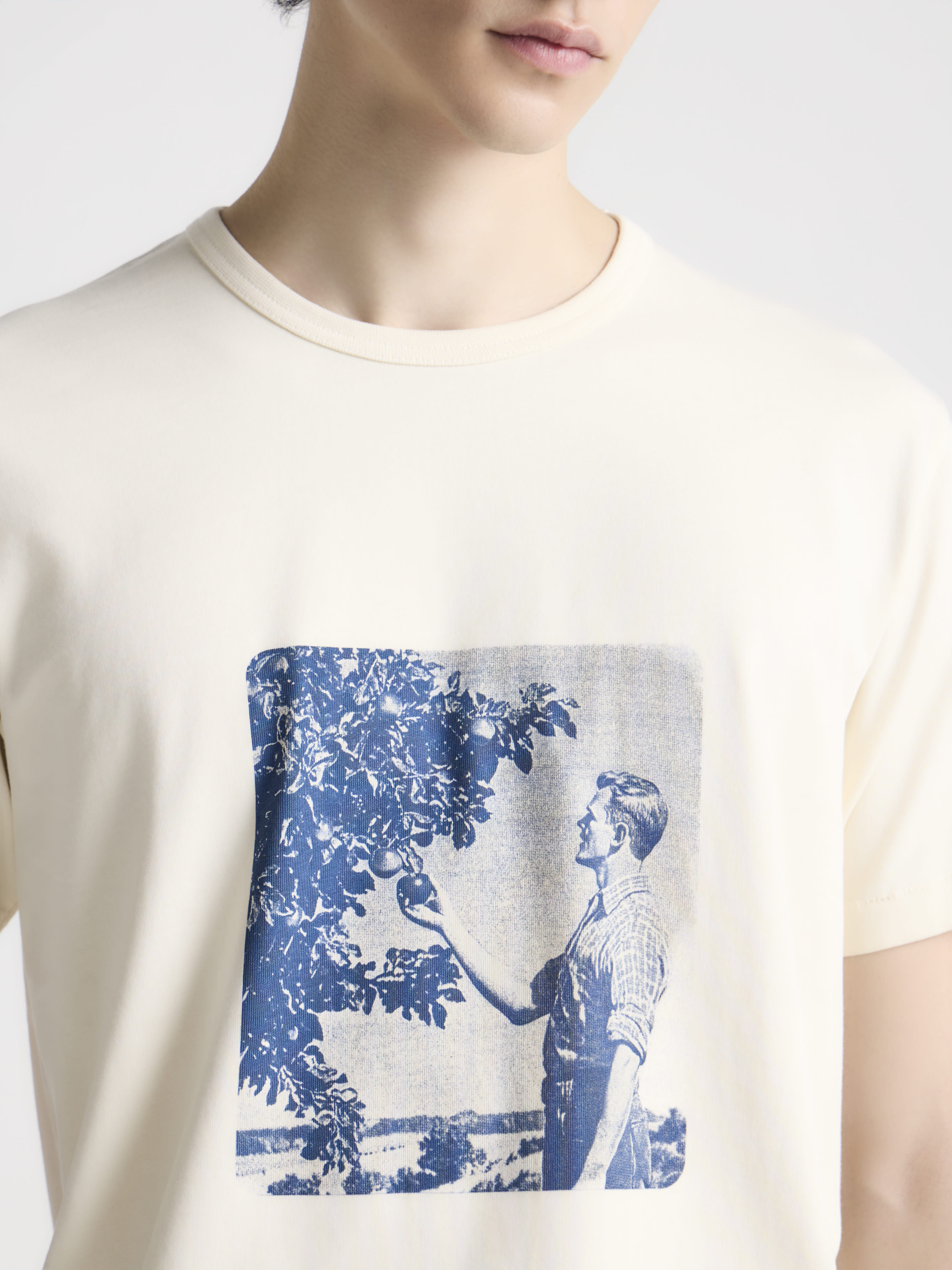 MENS PICKING FRUIT GRAPHIC PRINT T-SHIRT IN ECRU in ECRU