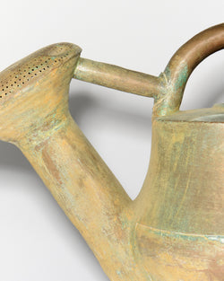 antique french watering can 2 brown Still Life 1