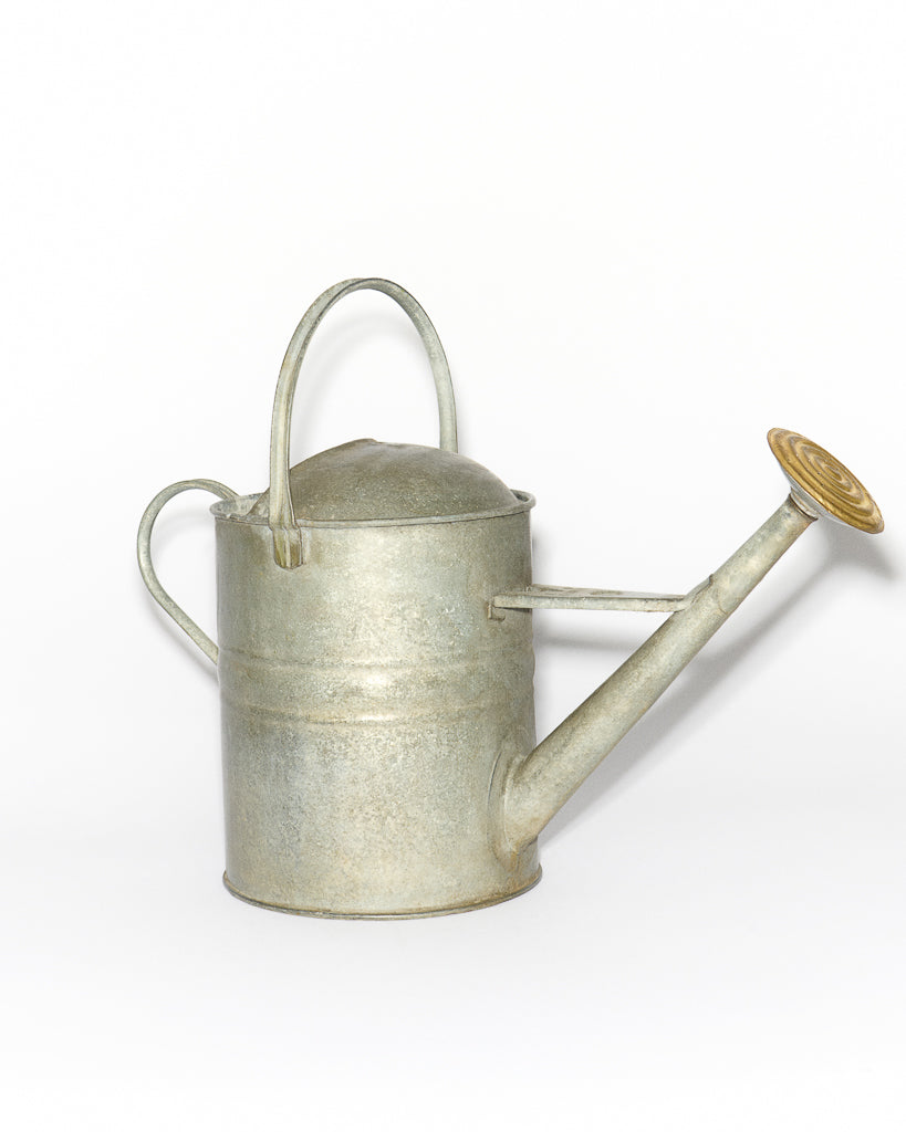 vintage english watering can brown Still Life 3