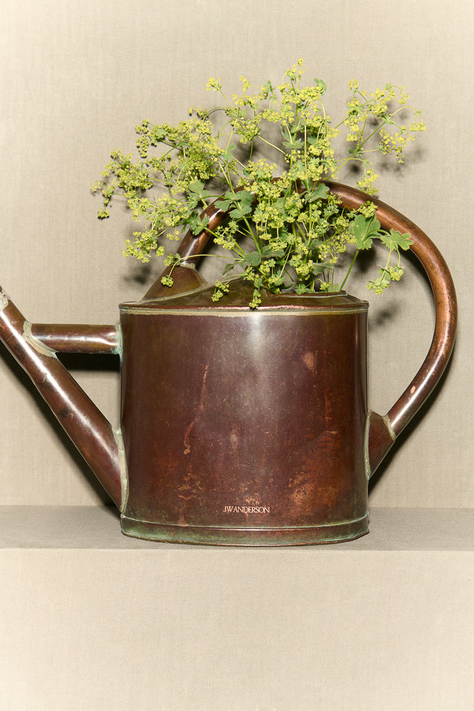 vintage french copper watering can brown Still Life 6