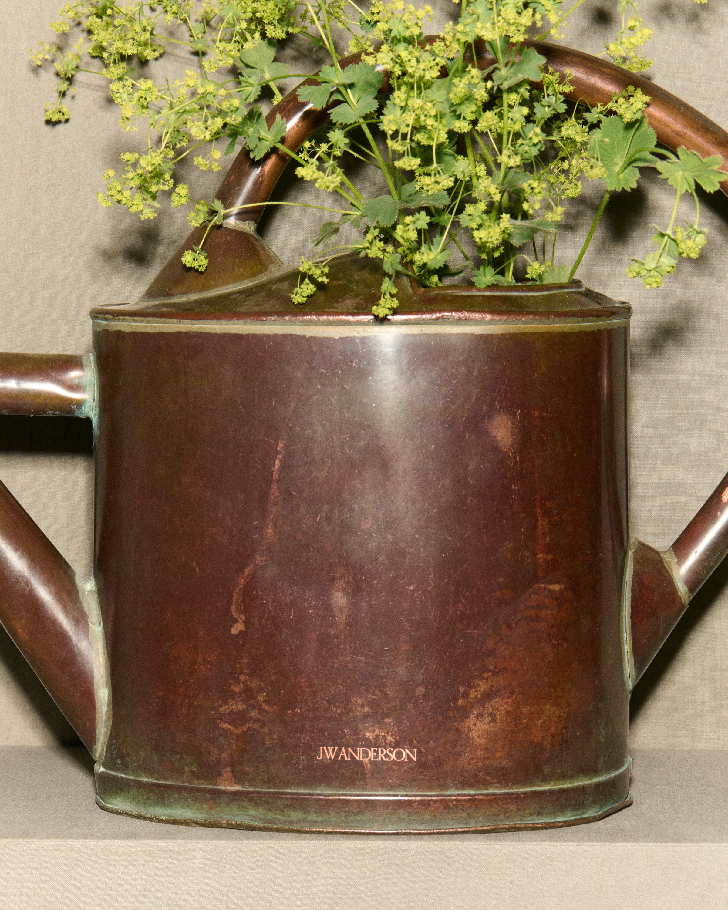 vintage french copper watering can brown Still Life 4