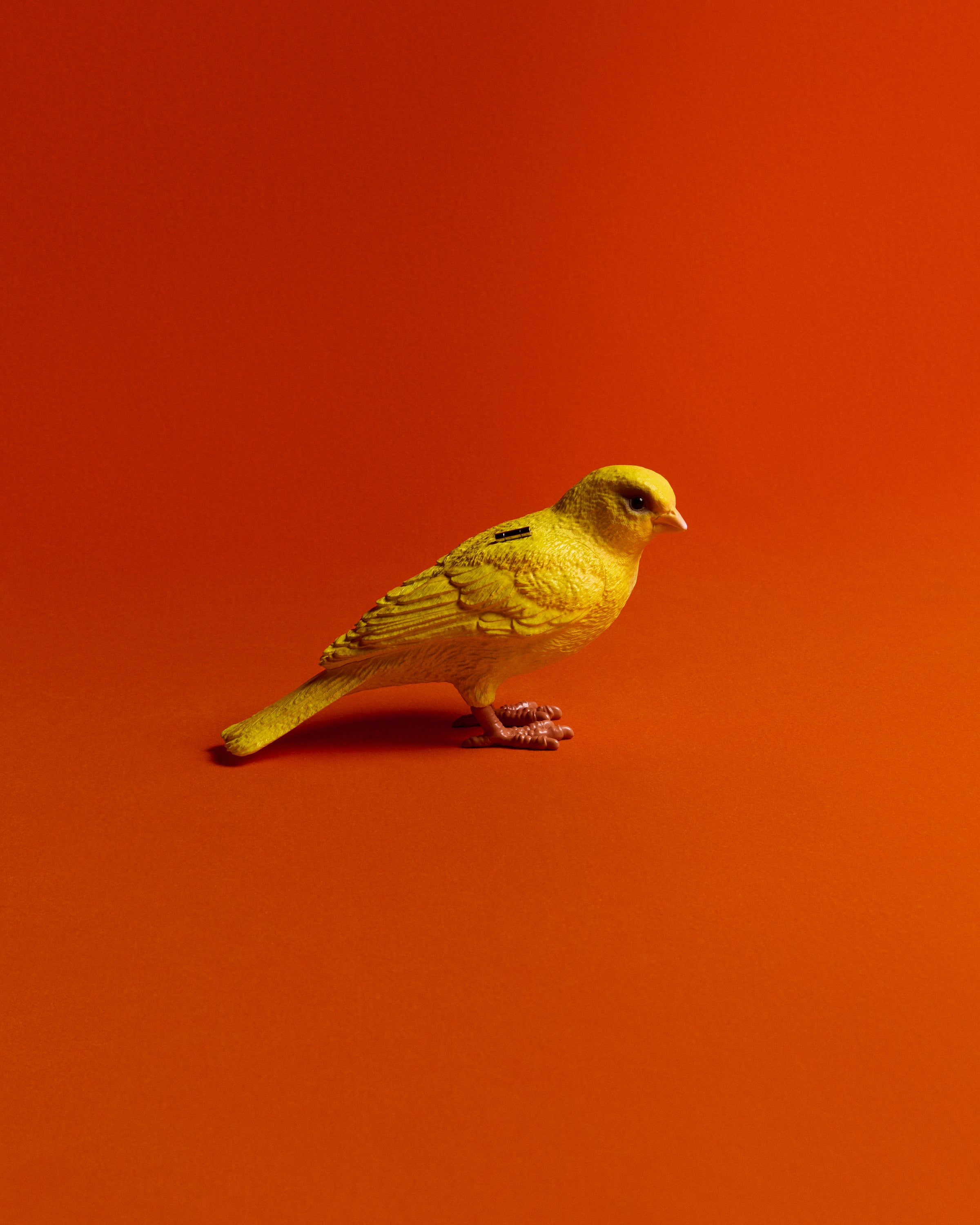 CANARY CLUTCH IN YELLOW