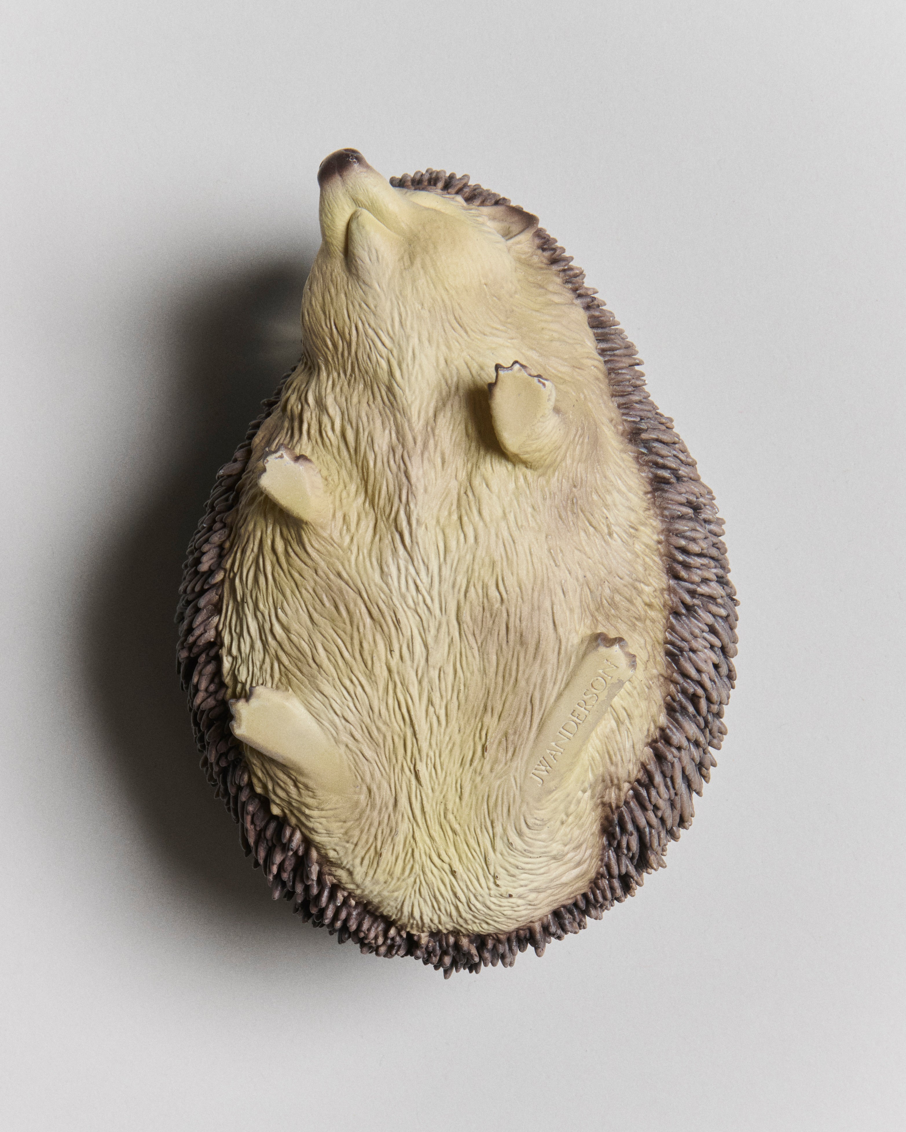 HEDGEHOG CLUTCH IN BROWN in BROWN AC0442FA0178600O/S | JW Anderson SG