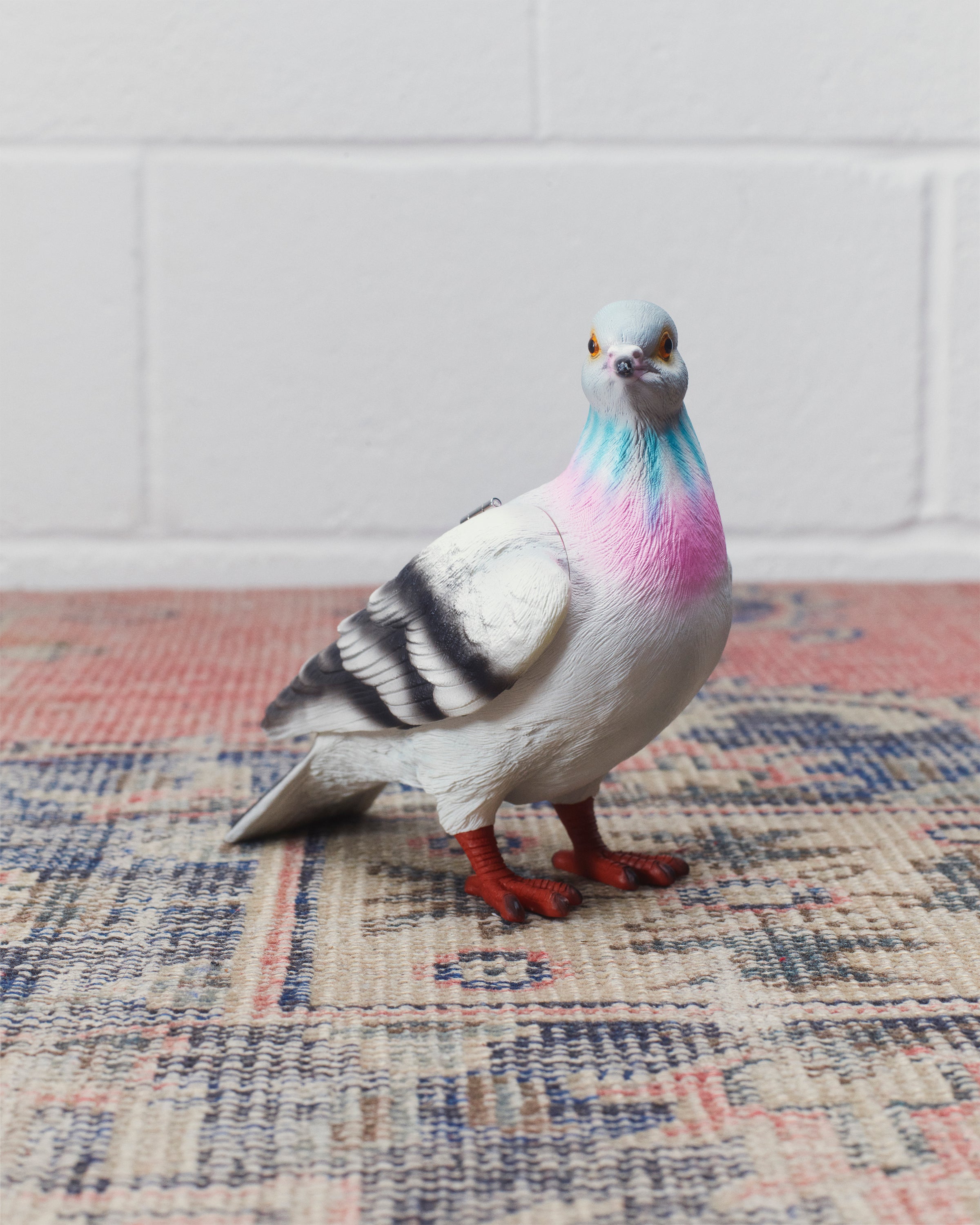 PIGEON CLUTCH IN GREY