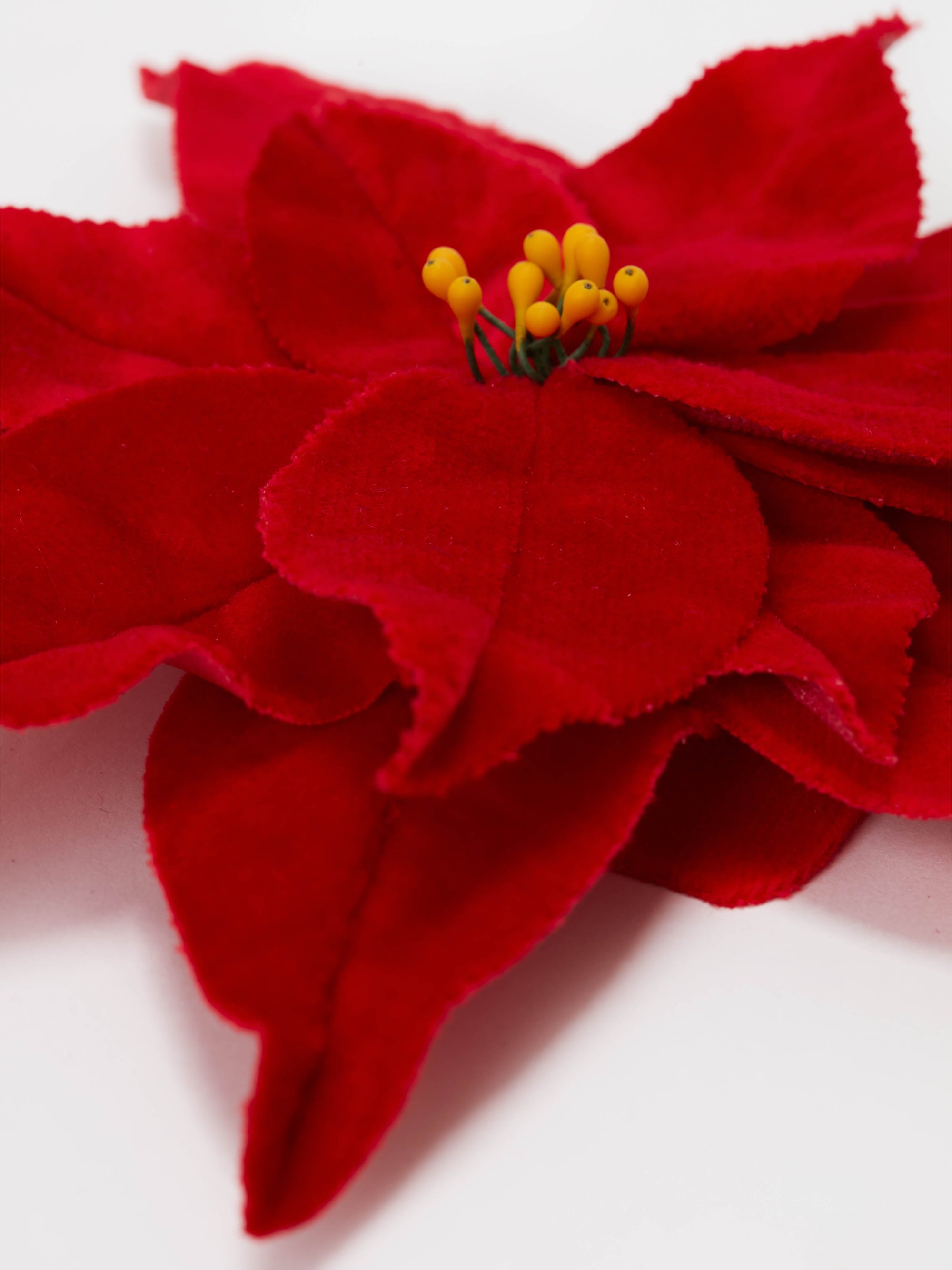 VELVET POINSETTIA BROOCH