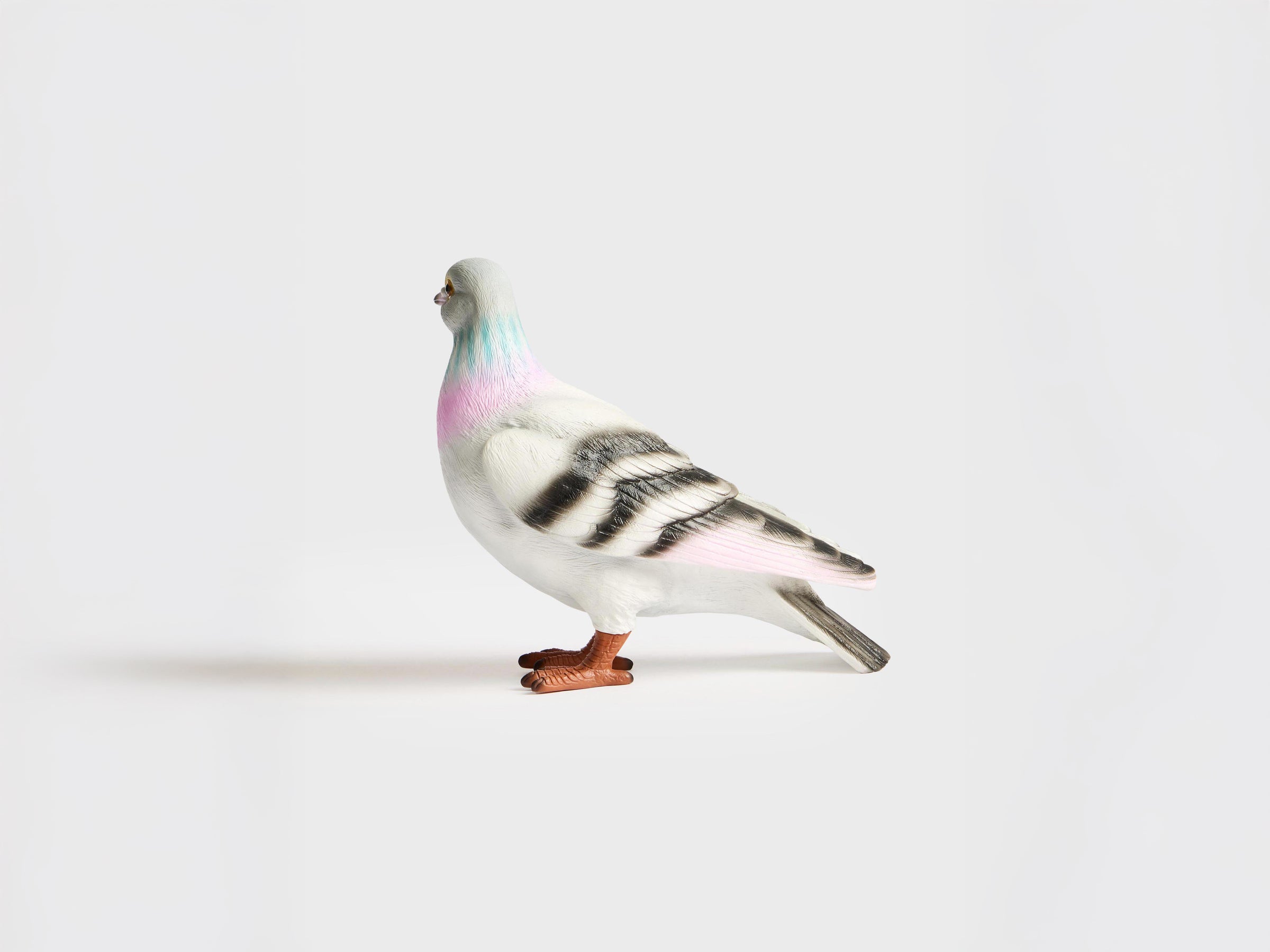 PIGEON CLUTCH IN GREY