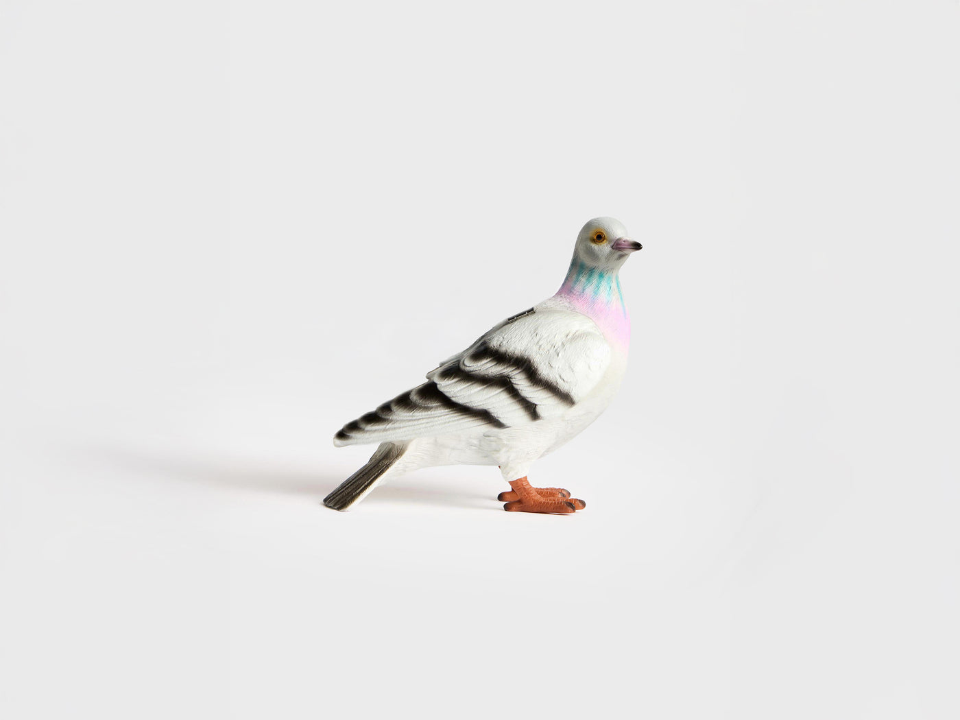 PIGEON CLUTCH IN GREY