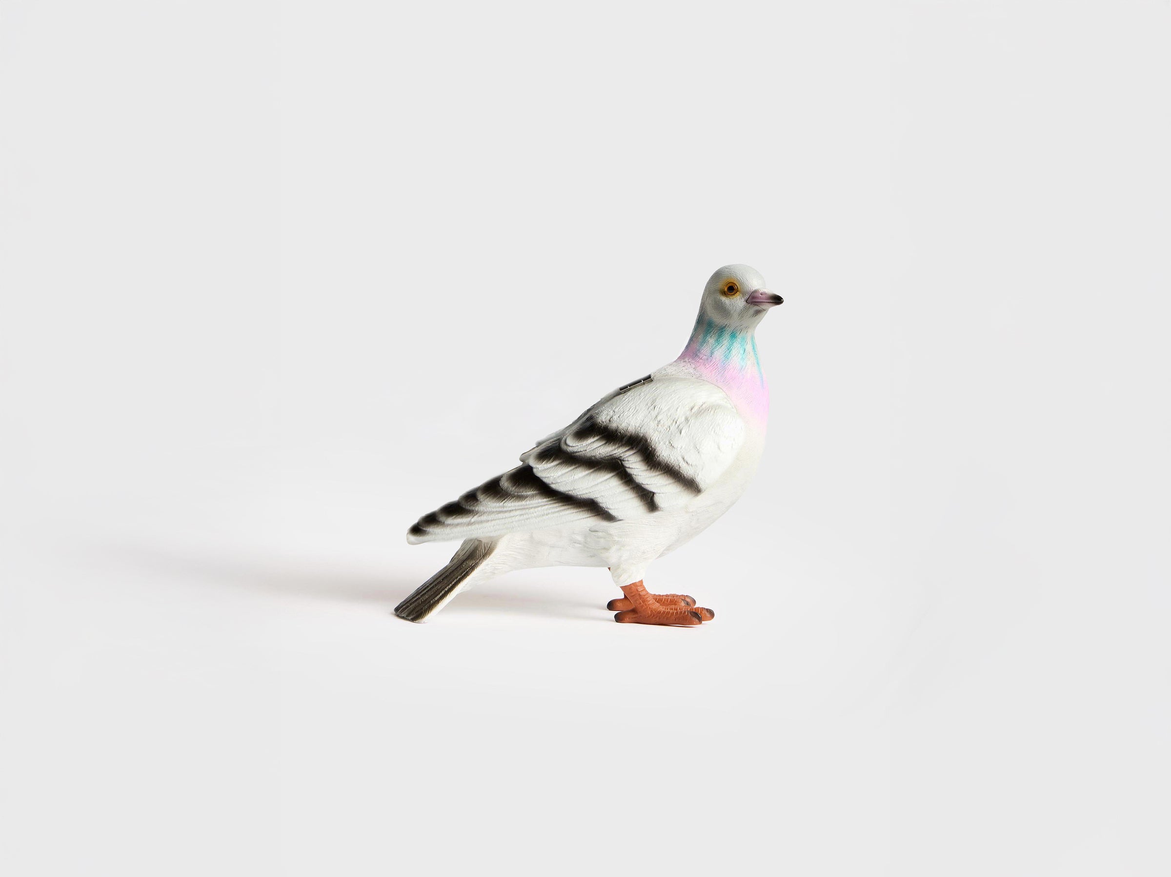 PIGEON CLUTCH IN GREY