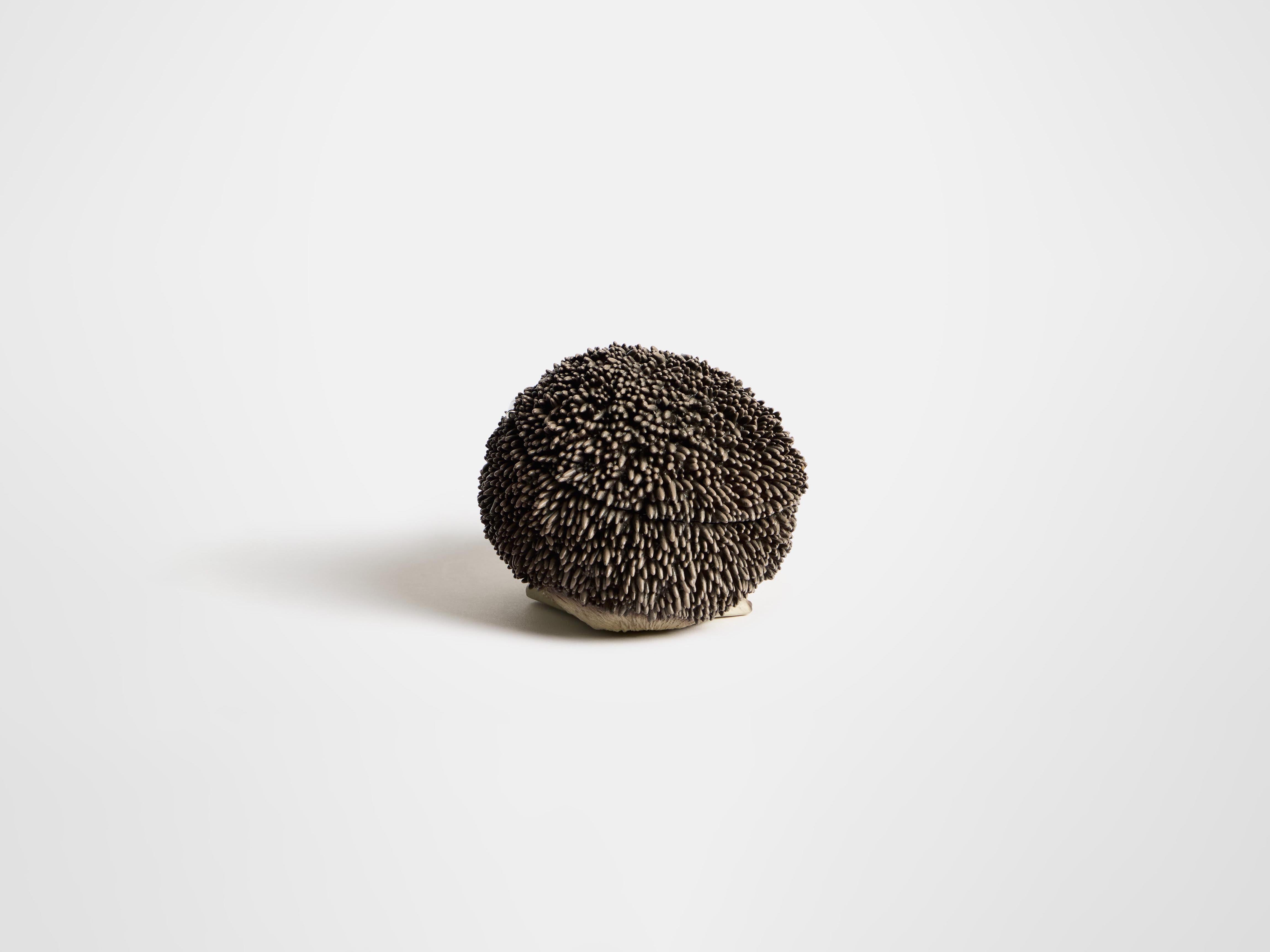 HEDGEHOG CLUTCH IN BROWN in BROWN AC0442FA0178600O/S | JW Anderson AU