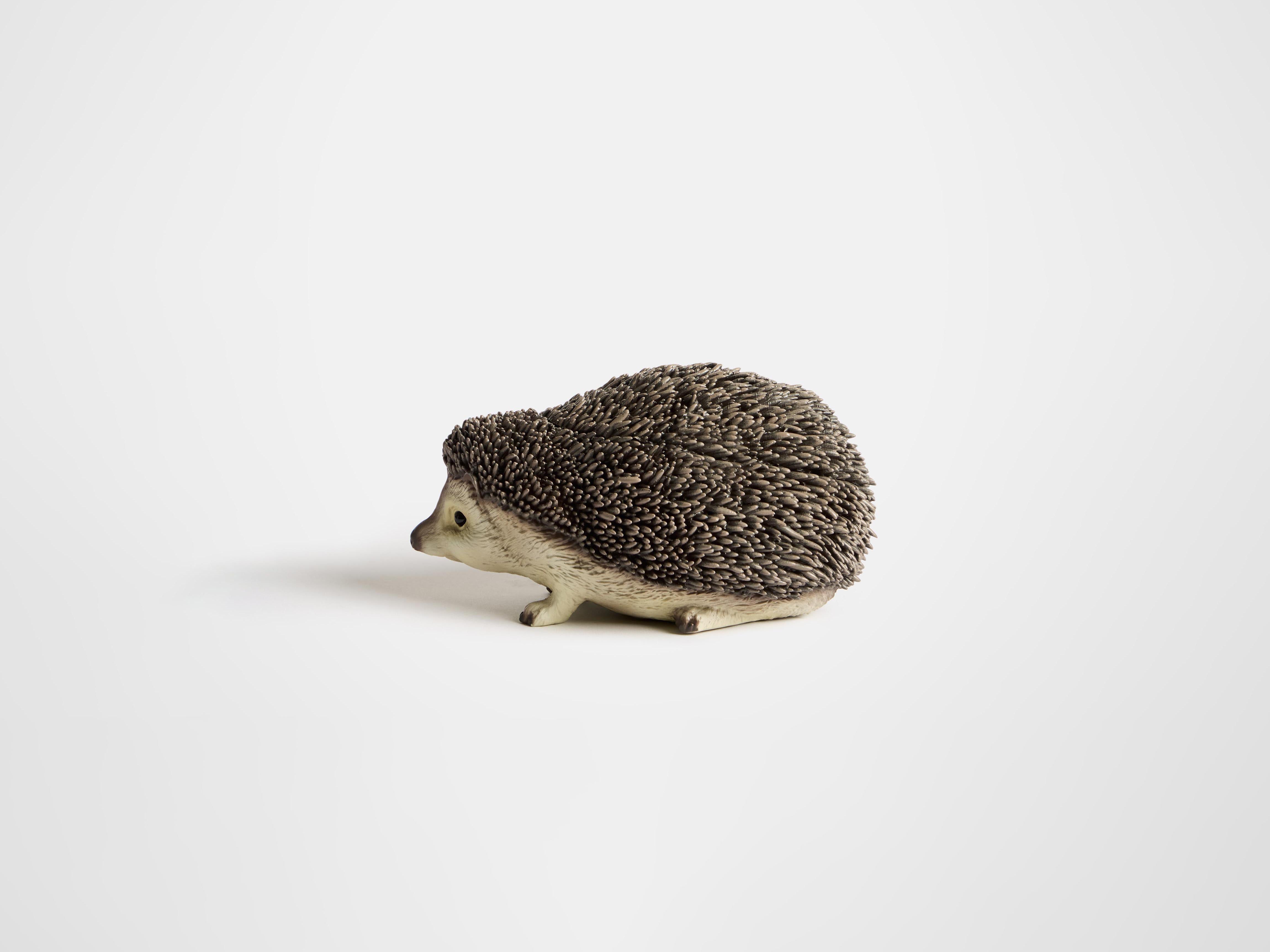 HEDGEHOG CLUTCH IN BROWN in BROWN AC0442FA0178600O/S | JW Anderson AE