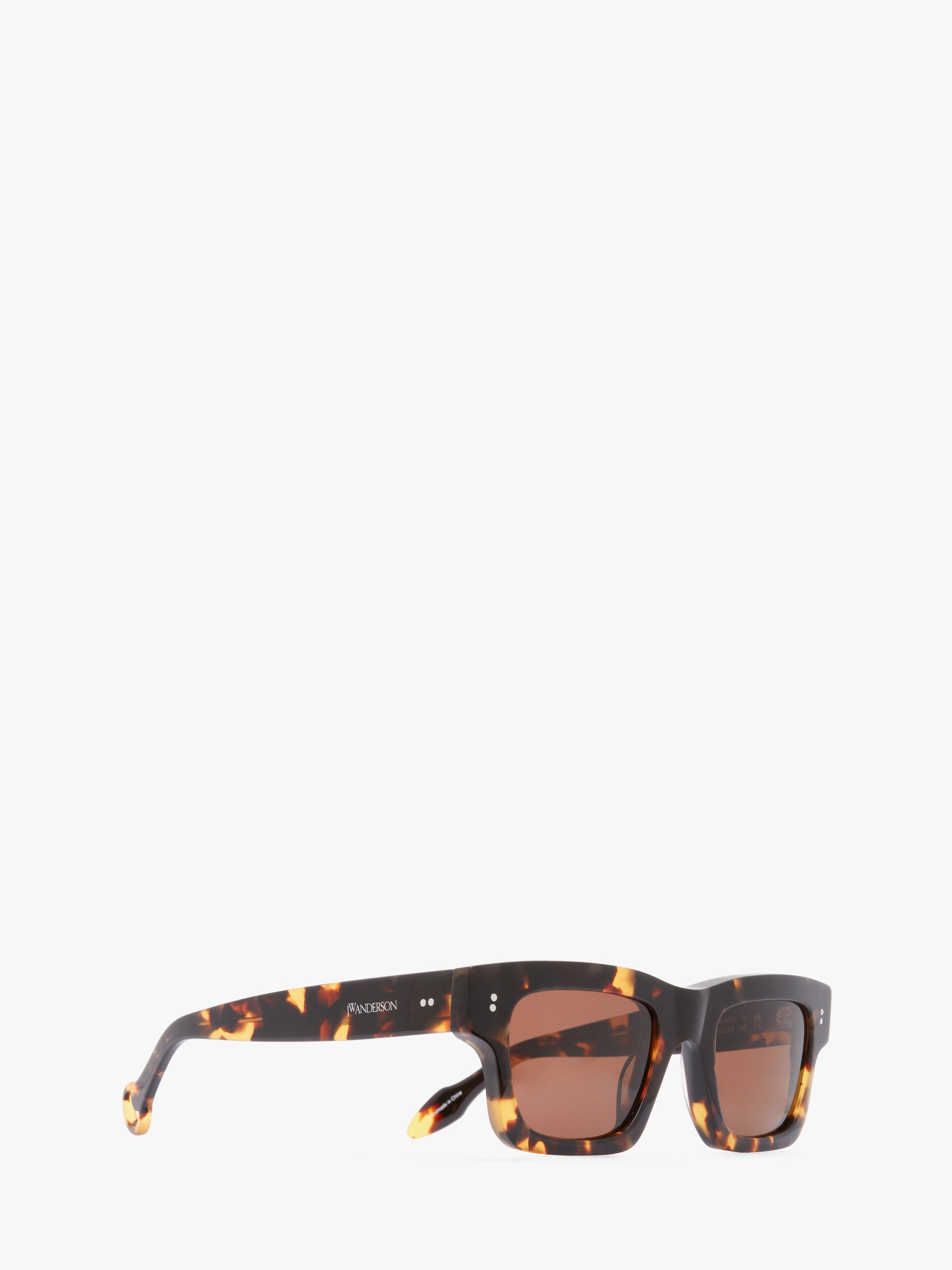 WAYFARER SUNGLASSES