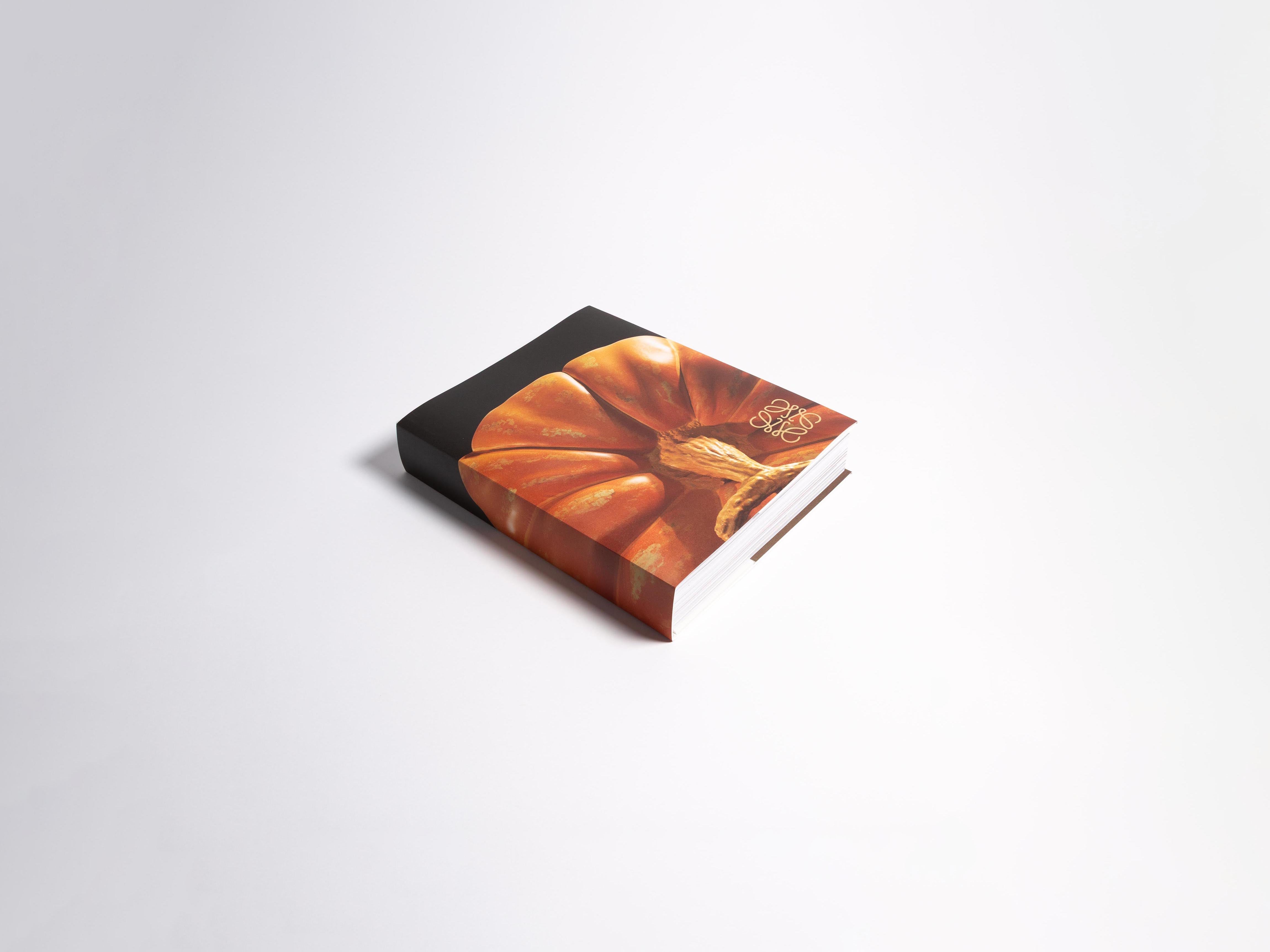 限定 LOEWE BOOK (With original box) アートブック 限定 LOEWE BOOK (With original box) アートブック - メルカリ