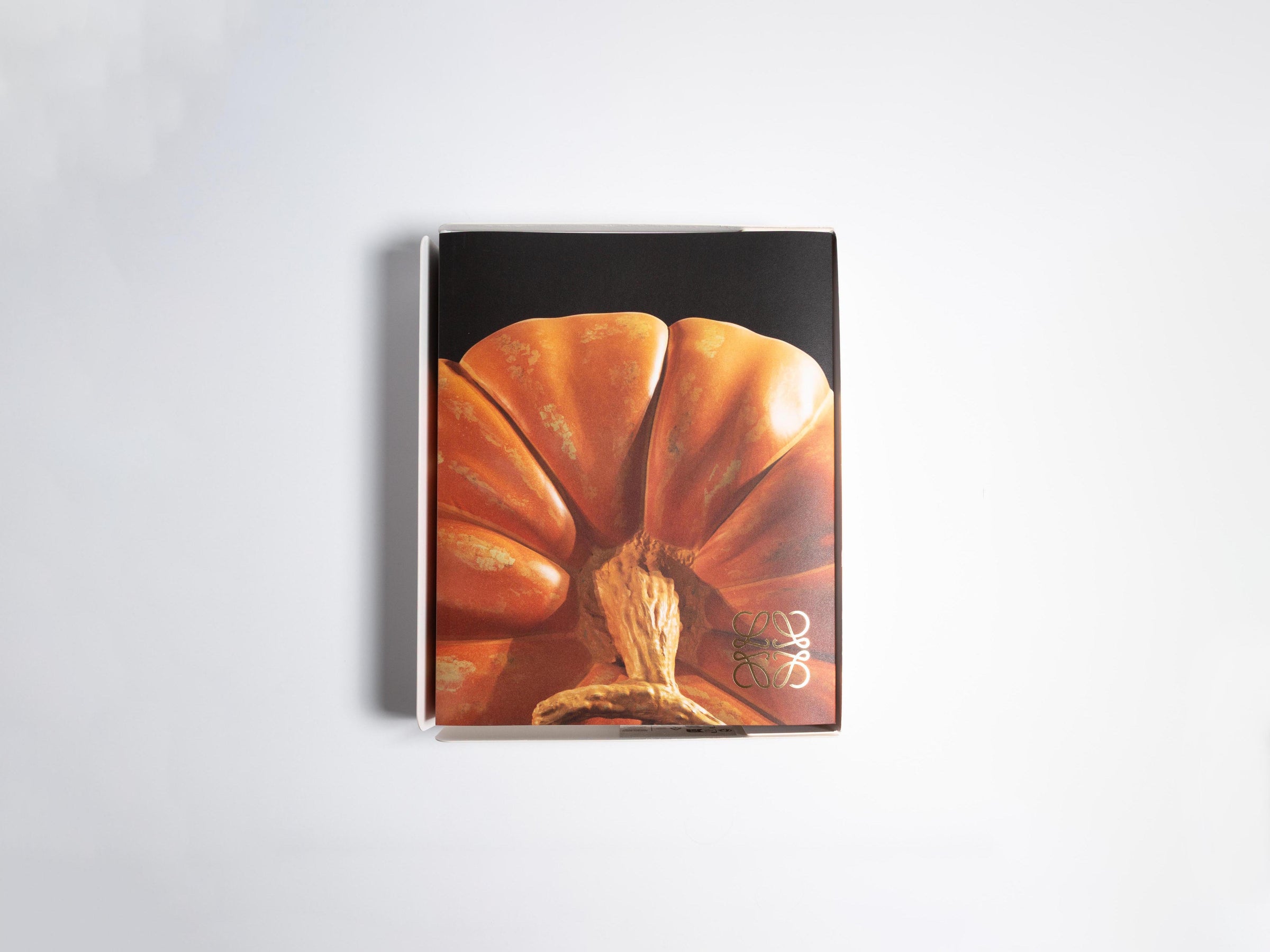 CRAFTED WORLD: JONATHAN ANDERSONS LOEWE