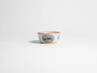 small angle bowl white multi Product Front 1