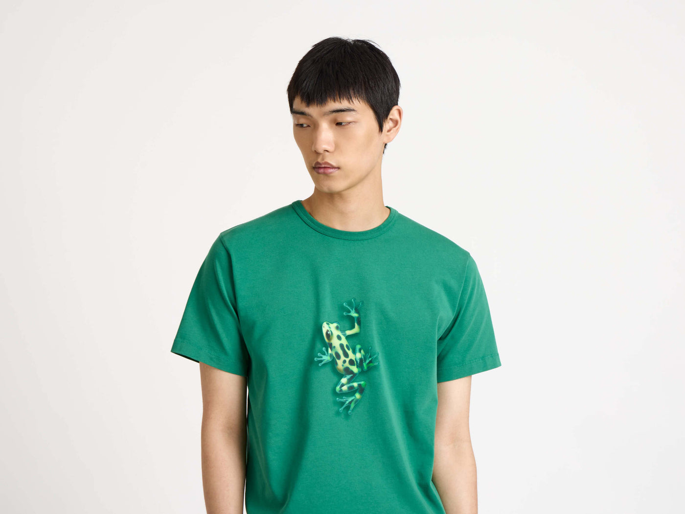 jumping frog t shirt emerald Model Back 3