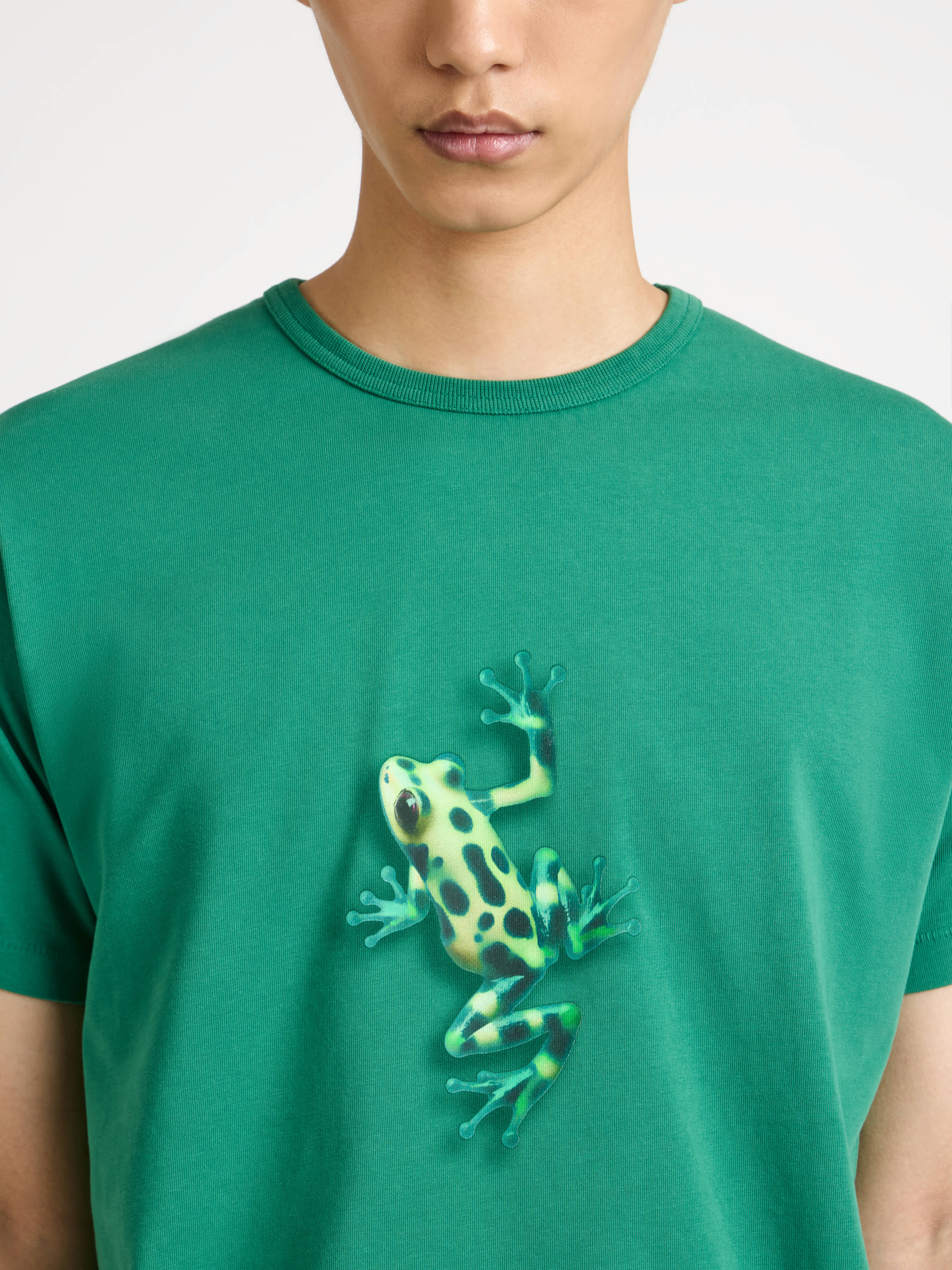 MENS JUMPING FROG T-SHIRT IN EMERALD in EMERALD
