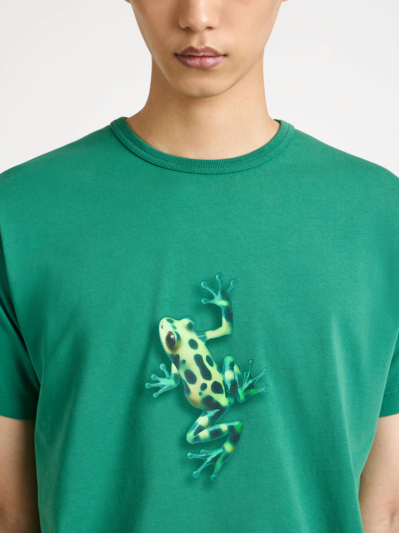 jumping frog t shirt emerald Model Back 4