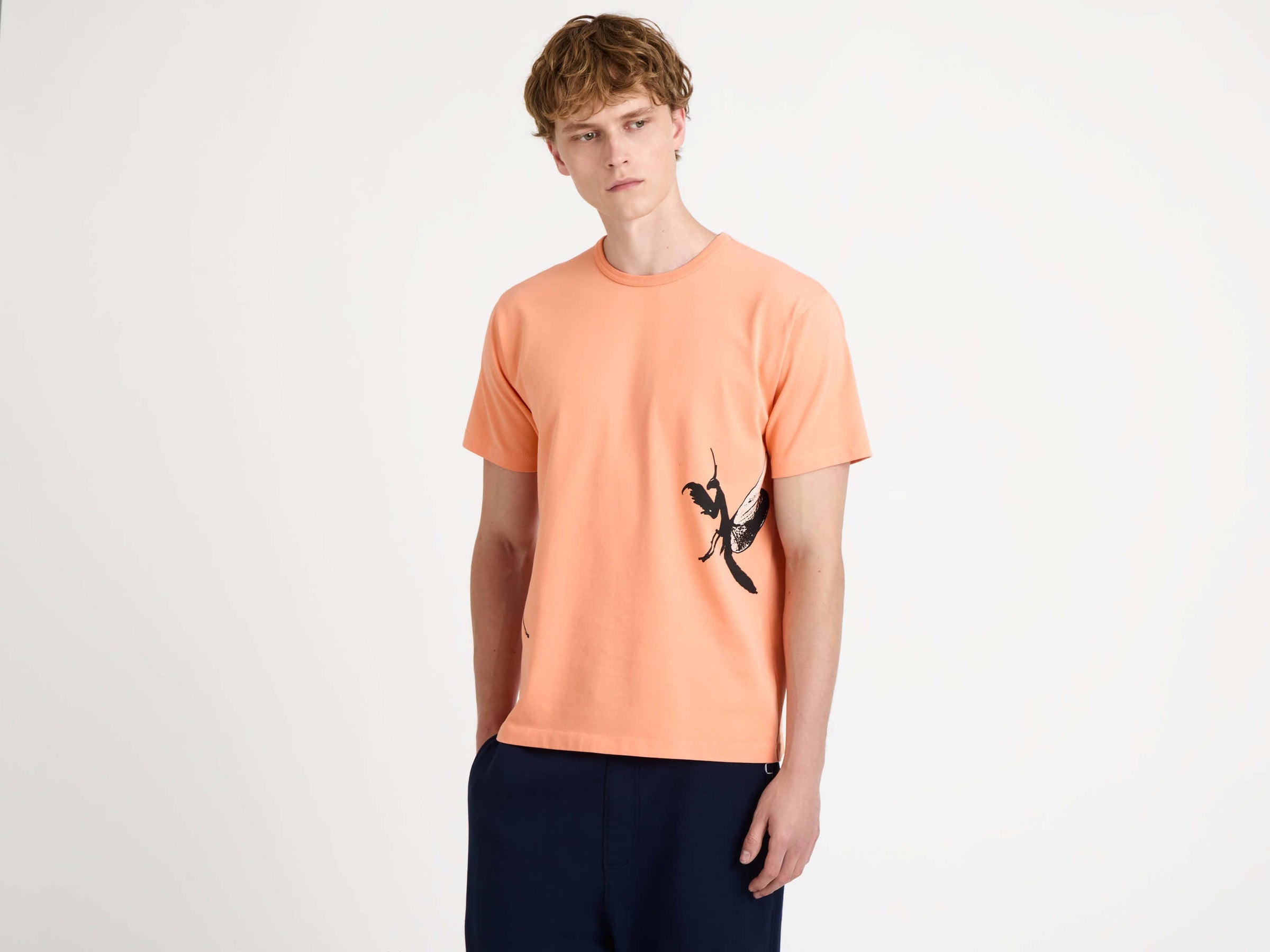praying mantis t shirt peach Model Back 5