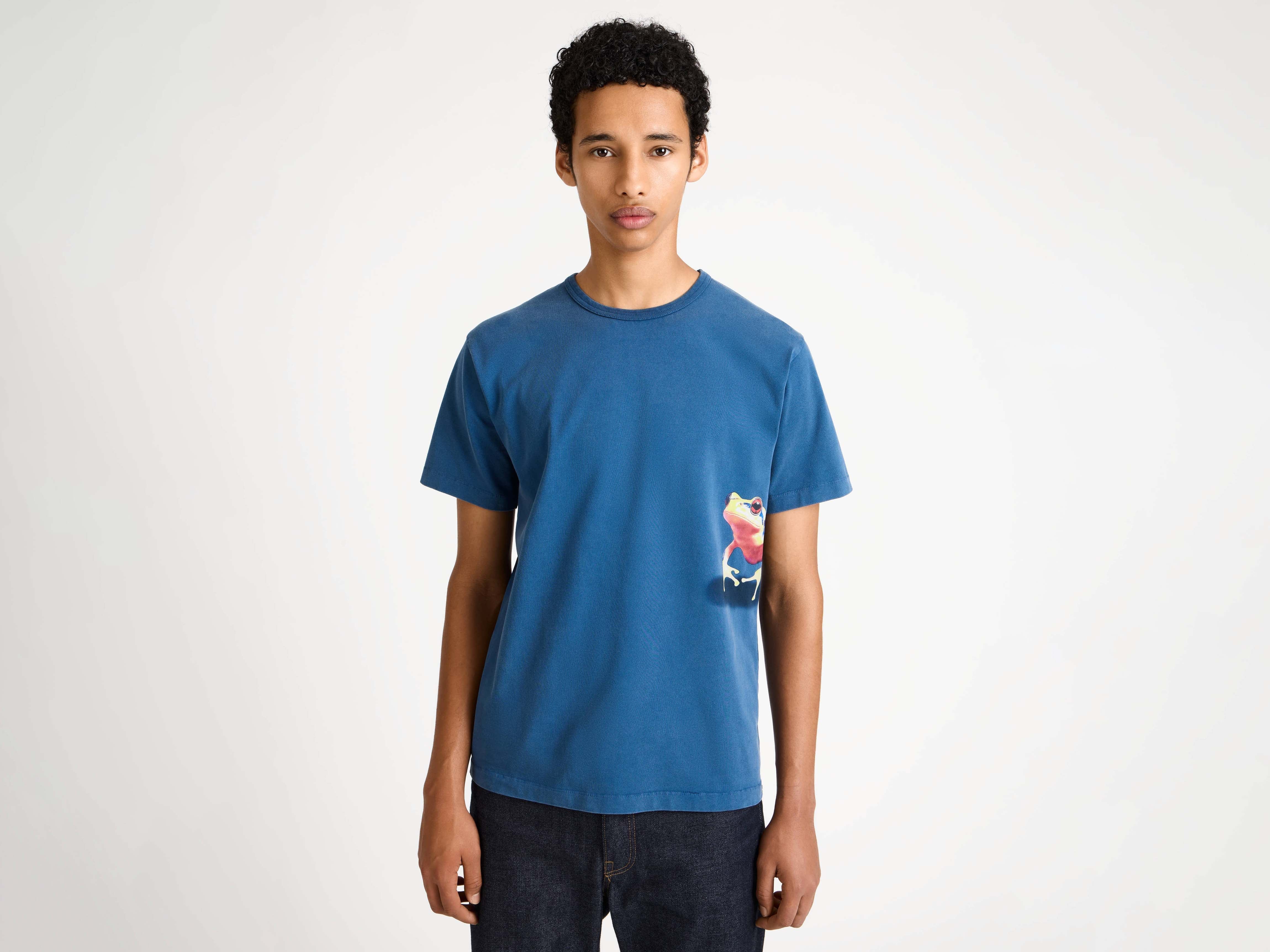 MENS PEEKING FROG TSHIRT IN MID BLUE in MID BLUE MENS PEEKING FROG TSHIRT IN MID BLUE in MID BLUE