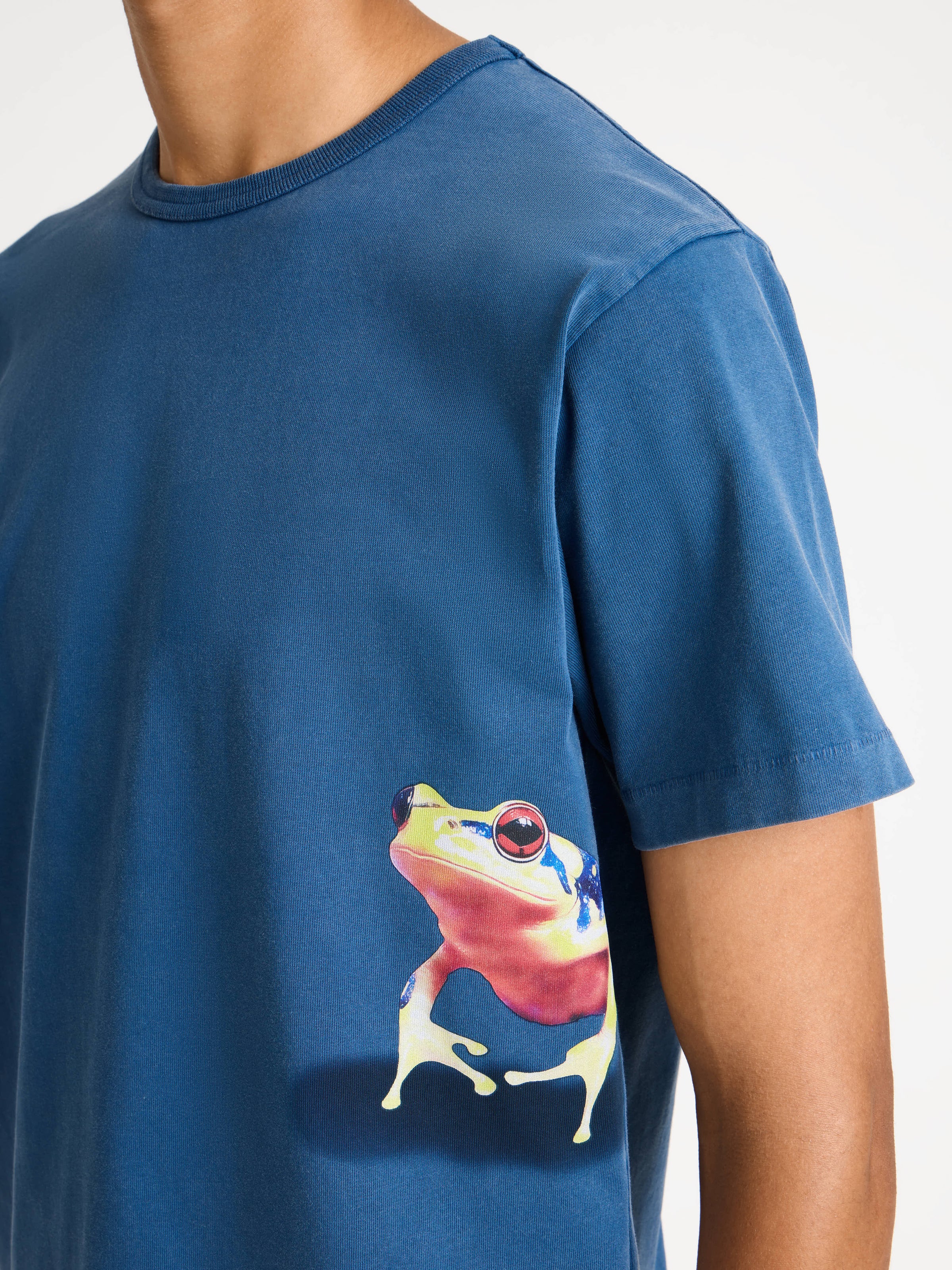 peeking frog tshirt mid blue Model Detail 5