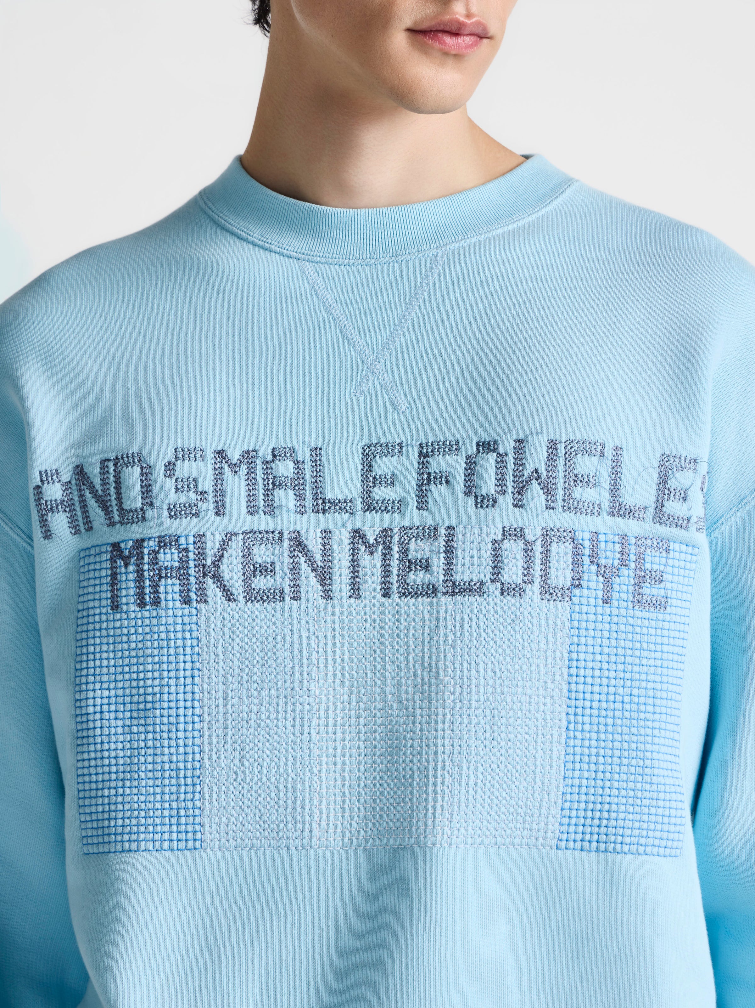 MENS PAINTED BIRDS SWEATSHIRT IN SKY BLUE