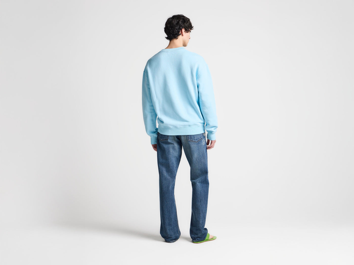 MENS PAINTED BIRDS SWEATSHIRT IN SKY BLUE