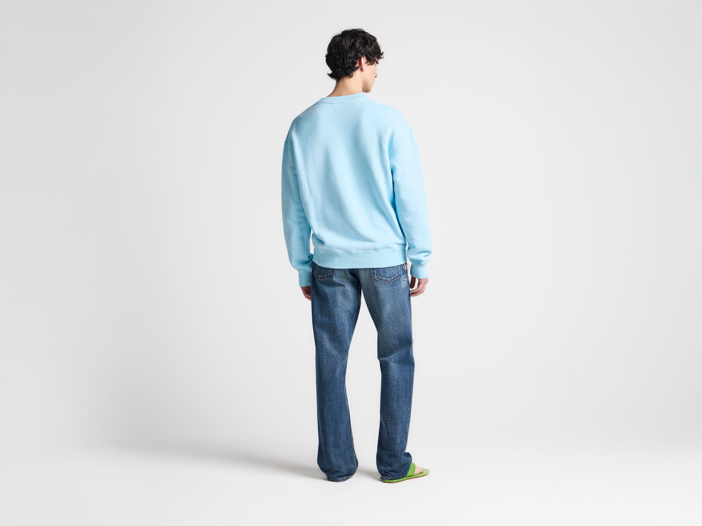 MENS PAINTED BIRDS SWEATSHIRT IN SKY BLUE