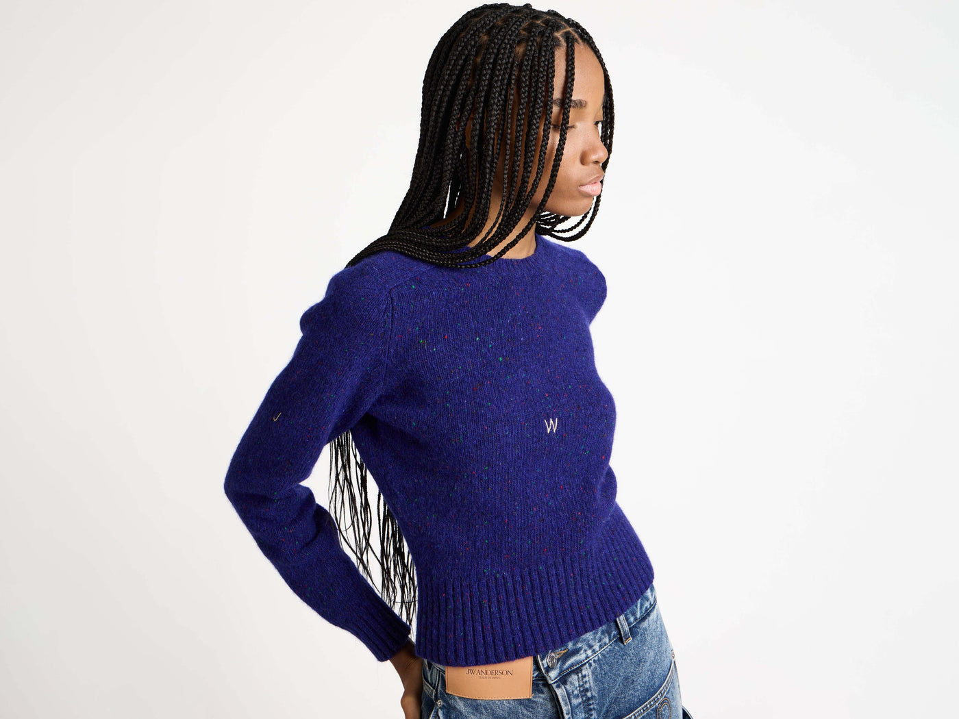 CL_SLEEVE EMBROIDERED CREW NECK JUMPER - VIOLET_KW1452YN0458