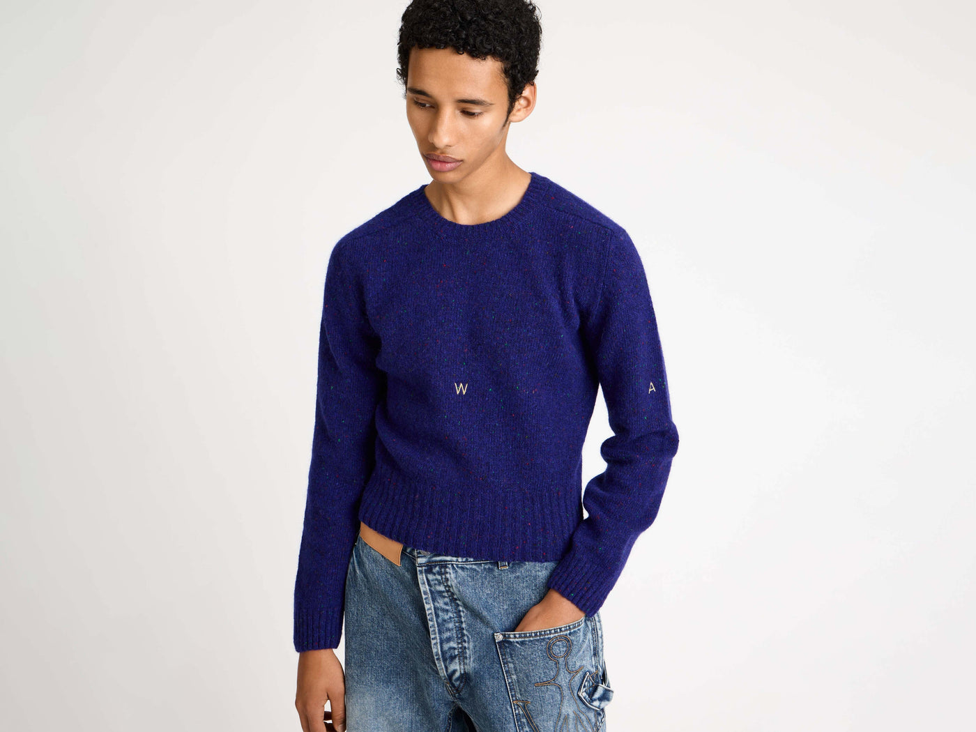SLEEVE EMBROIDERED CREW NECK JUMPER IN VIOLET