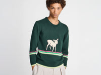 MENS SHEEP JUMPER IN DARK GREEN